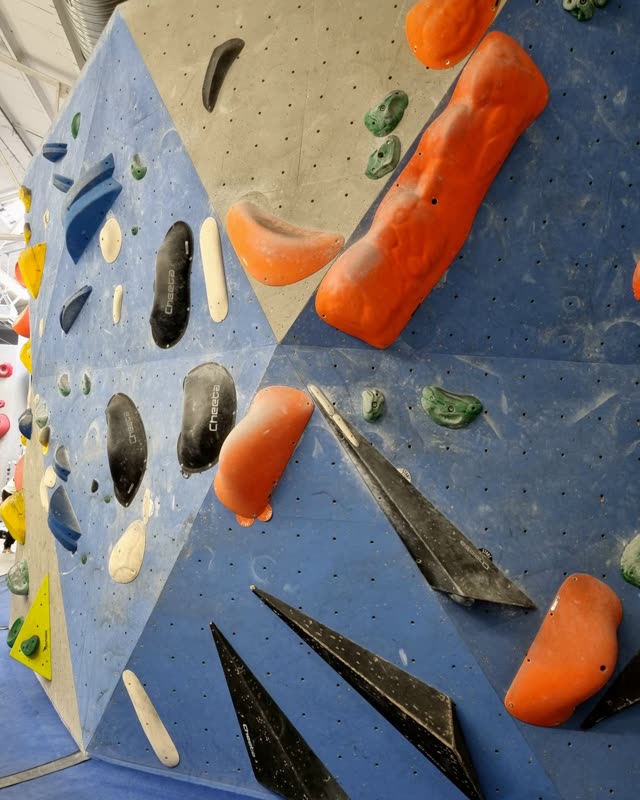 Boulderwand mit blauen Paneelen und bunten Griffen